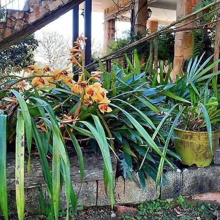 Pousada Canto Das Corujas Sao Roque  Luaran gambar
