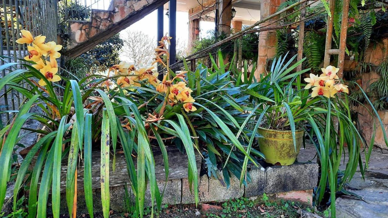 Pousada Canto Das Corujas Sao Roque  Luaran gambar